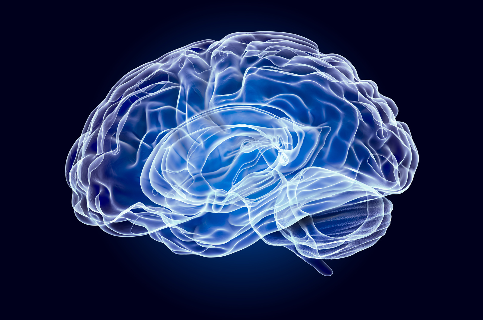X-Ray Hologram of Human Brain